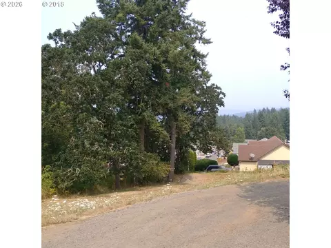 SW Hill Drive, Willamina, OR 97396 photo 3