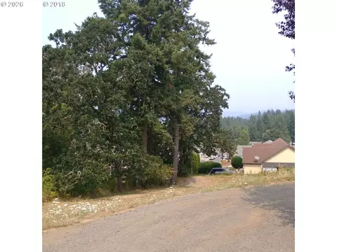 SW Hill Drive, Willamina, OR 97396 photo 2