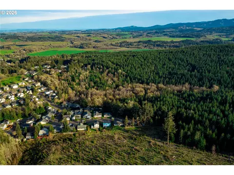 SW Hill Drive, Willamina, OR 97396 photo 10