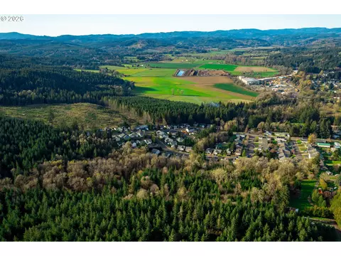 SW Hill Drive, Willamina, OR 97396 photo 9
