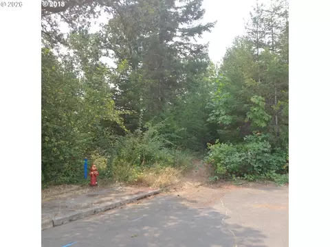 SW Hill Drive, Willamina, OR 97396 photo 6