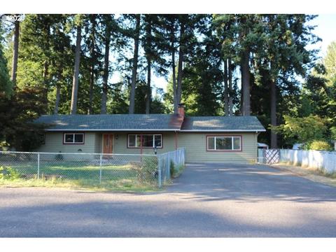 162 Vine Maple Loop, Carson, WA 98610 photo 1