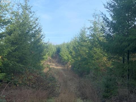 0 Hwy 36 Mile Post 43, Cheshire, OR 97419