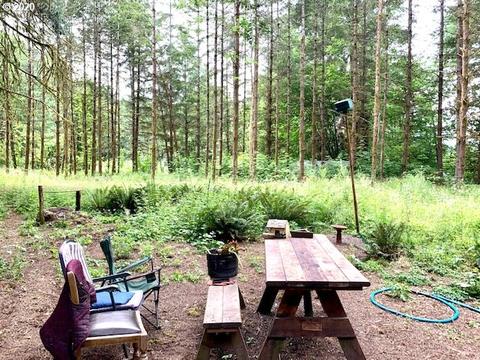 87740 Cedar Flat Rd, Springfield, OR 97478 photo 1