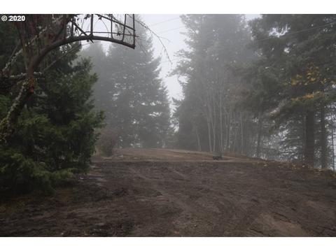 1038 Pine Ridge Dr, Glide, OR 97443 photo 1