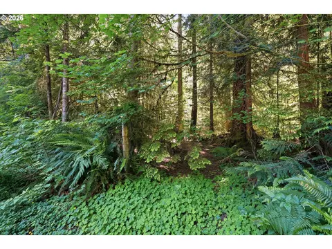 Exterior - 50136 SE Weber Rd, Sandy, OR 97055 photo 18 of 20