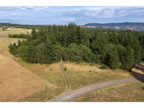 View/Area - 24 Meadows Loop, Lyle, WA 98635 photo 4 of 4