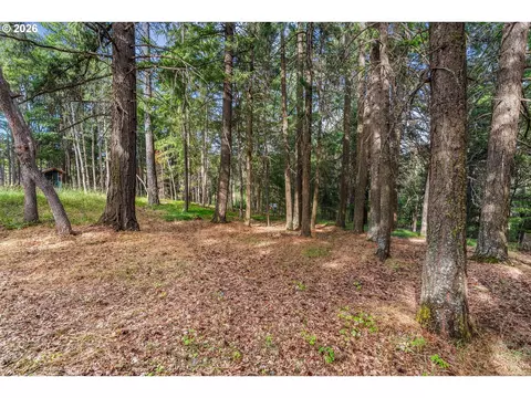 Exterior - 24 Meadows Loop, Lyle, WA 98635 photo 11 of 11