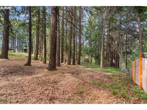 Exterior - 24 Meadows Loop, Lyle, WA 98635 photo 10 of 11