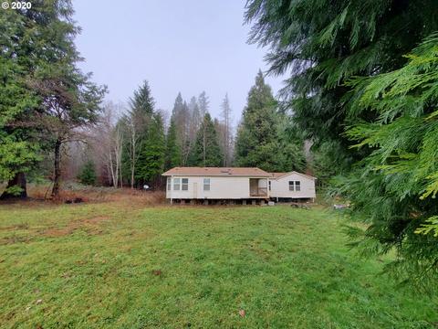 51207 Blue River Dr, Vida, OR 97488 photo 1