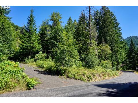 5 4th Street, Carson, WA 98610