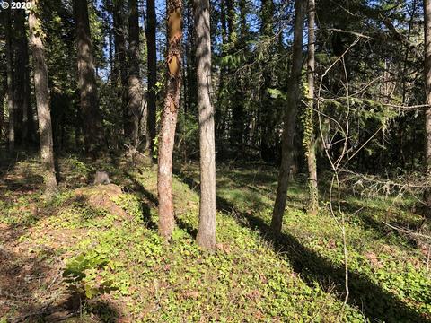 W Roberts Rd, Oakridge, OR 97463