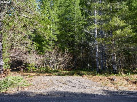 Lahar Ln, Cougar, WA 98616