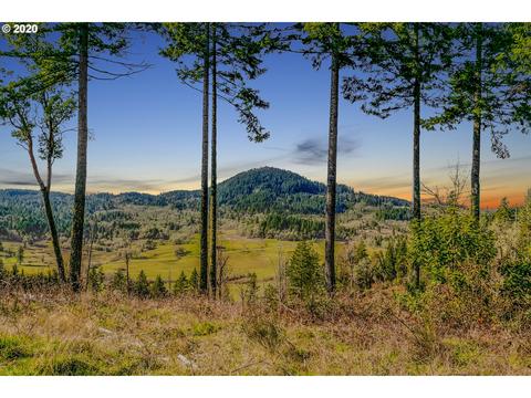32381 Beymer Rd, Eugene, OR 97405 photo 1