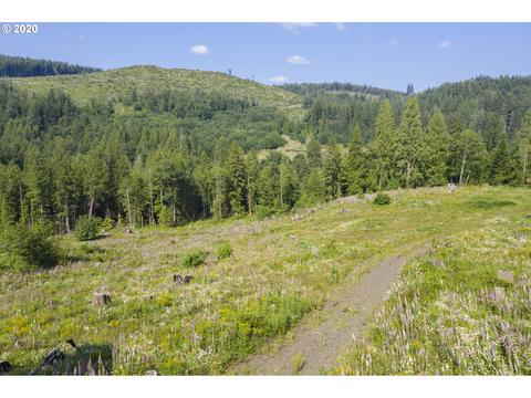 53321 E Marmot Rd, Sandy, OR 97055 photo 1
