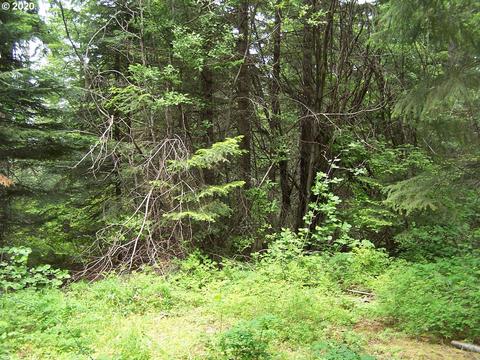47 Moonshine Rd, Appleton, WA 98602 photo 1