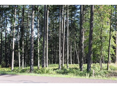 27932 Lady Slipper Loop, Eugene, OR 97405 photo 1