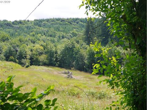 68340 Defrates Rd, Rainier, OR 97048 photo 1