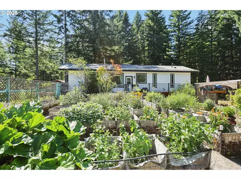 Exterior - 11 Edgewater Dr, Carson, WA 98610 photo 8 of 10