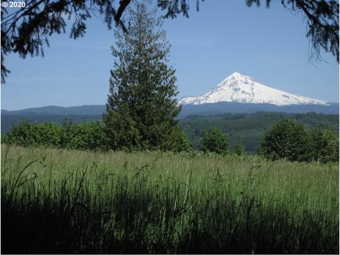 14300 SE Baumback Rd, Sandy, OR 97055 photo 1