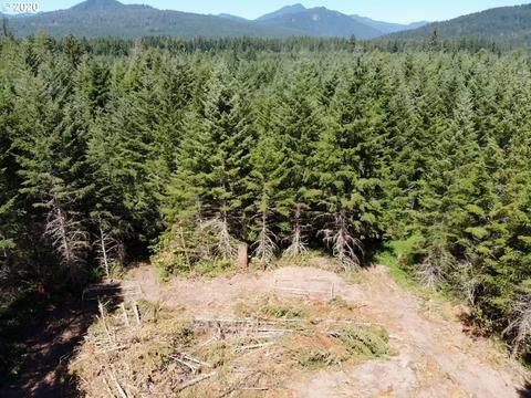 271 Leete Rd, Carson, WA 98610 photo 1
