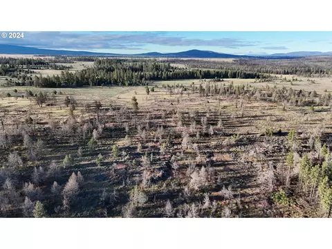Sycan Marsh Lot 2, Paisley, OR 97636
