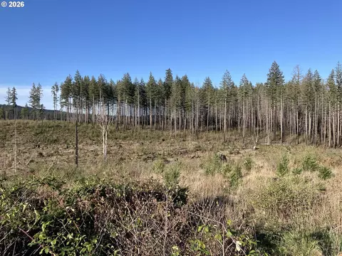 00 S Benjamin Rd, Estacada, OR 97023 photo 6
