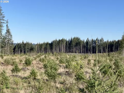 00 S Benjamin Rd, Estacada, OR 97023 photo 4