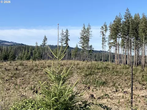 00 S Benjamin Rd, Estacada, OR 97023 photo 3