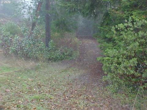 Camas Valley Homes For Sale Camas Valley Or Real Estate Movoto