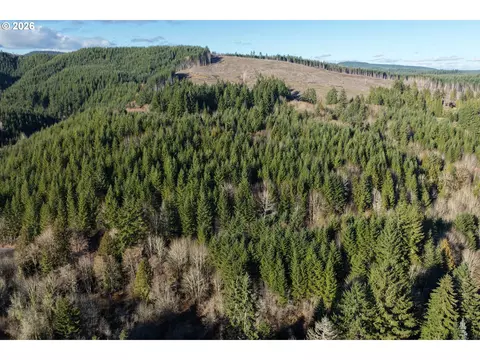 Scappoose Vernonia Hwy, Scappoose, OR 97056