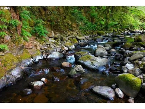 54870 E Highway 26, Sandy, OR 97055 photo 38