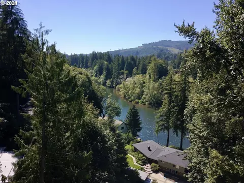 91025 Leashore Dr, Vida, OR 97488 photo 2