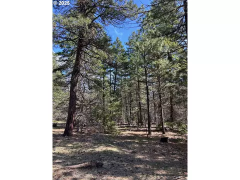 lot3 Thompson Tr, Goldendale, WA 98620