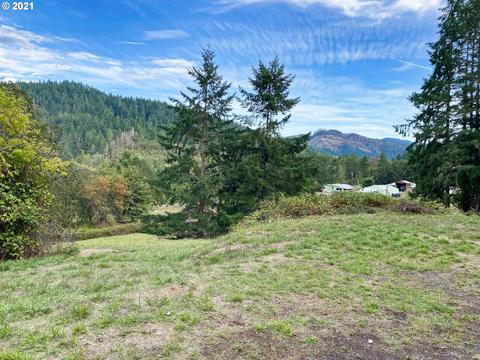 263 Deer Haven Ln, Winston, OR 97496 photo 1