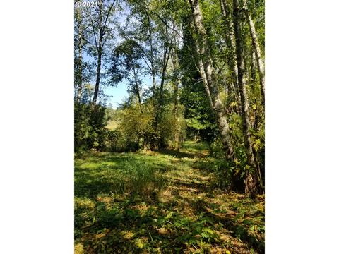 C St, Nehalem, OR 97131 photo 3