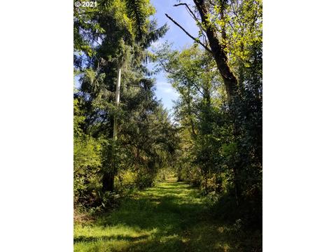 C St, Nehalem, OR 97131 photo 4