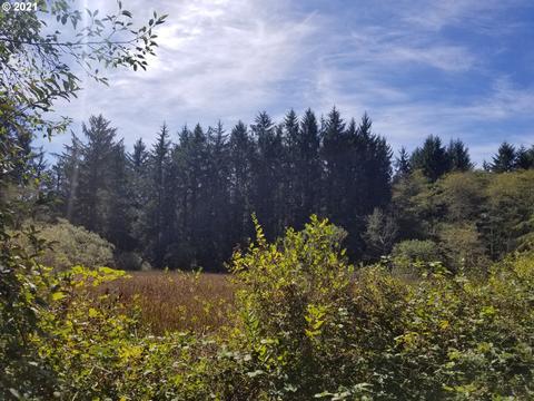 C St, Nehalem, OR 97131 photo 5