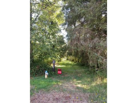 C St, Nehalem, OR 97131