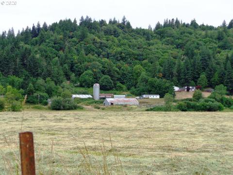 52956 Stringtown Rd, Myrtle Point, OR 97458 photo 1