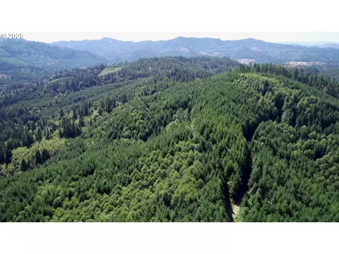 Lee Valley Rd, Myrtle Point, OR 97458