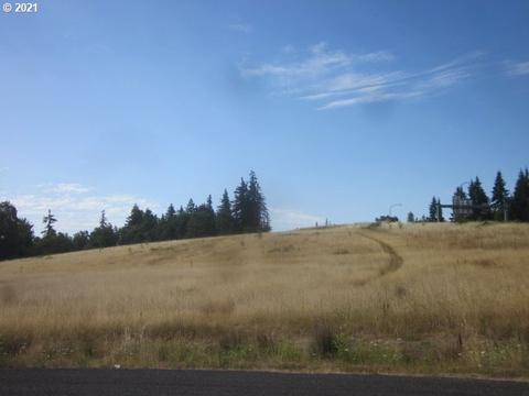 0 NE 209 St, Ridgefield, WA 98642