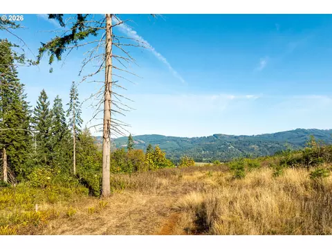 39412 NE 31st Ave, La Center, WA 98629