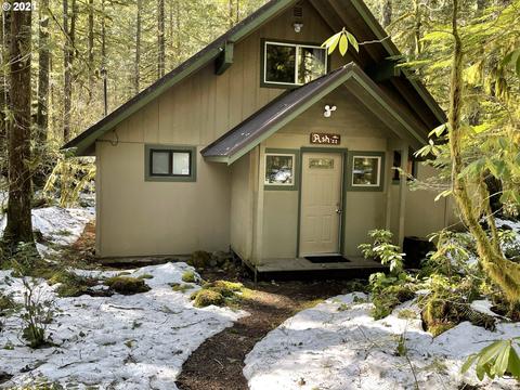 28307 E Road 20d, Rhododendron, OR 97049 photo 1