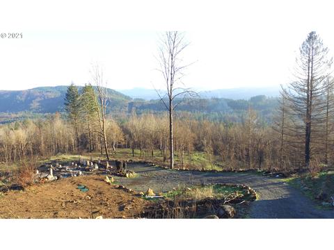 10794 Kubin Rd SE, Lyons, OR 97358 photo 1