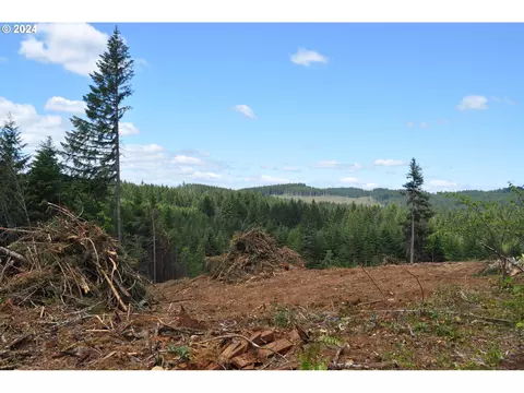 89975 Sheffler Rd, Elmira, OR 97437