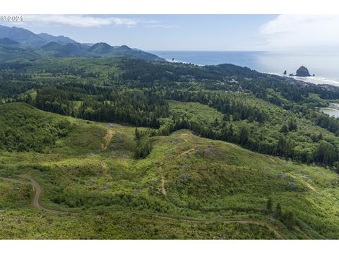 97110 Waterhouse Road, Cannon Beach, OR 97110