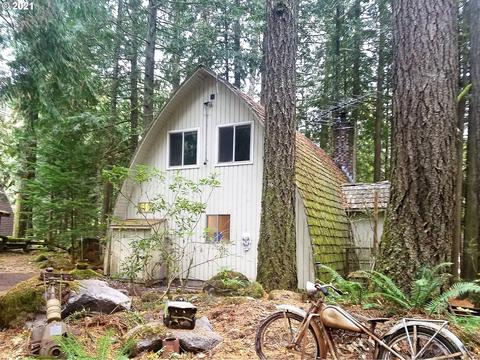 23704 E Cedar Point Ct, Rhododendron, OR 97049 photo 1