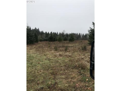 31827 SE Independence Ave, Estacada, OR 97023 photo 1