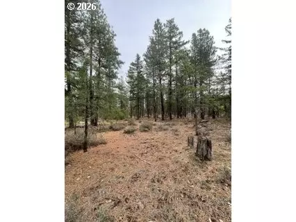 Red Spuce Rd, Goldendale, WA 98620
